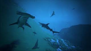 Celebrity ARK: Additional Creatures Mod - Official Trailer Wealth