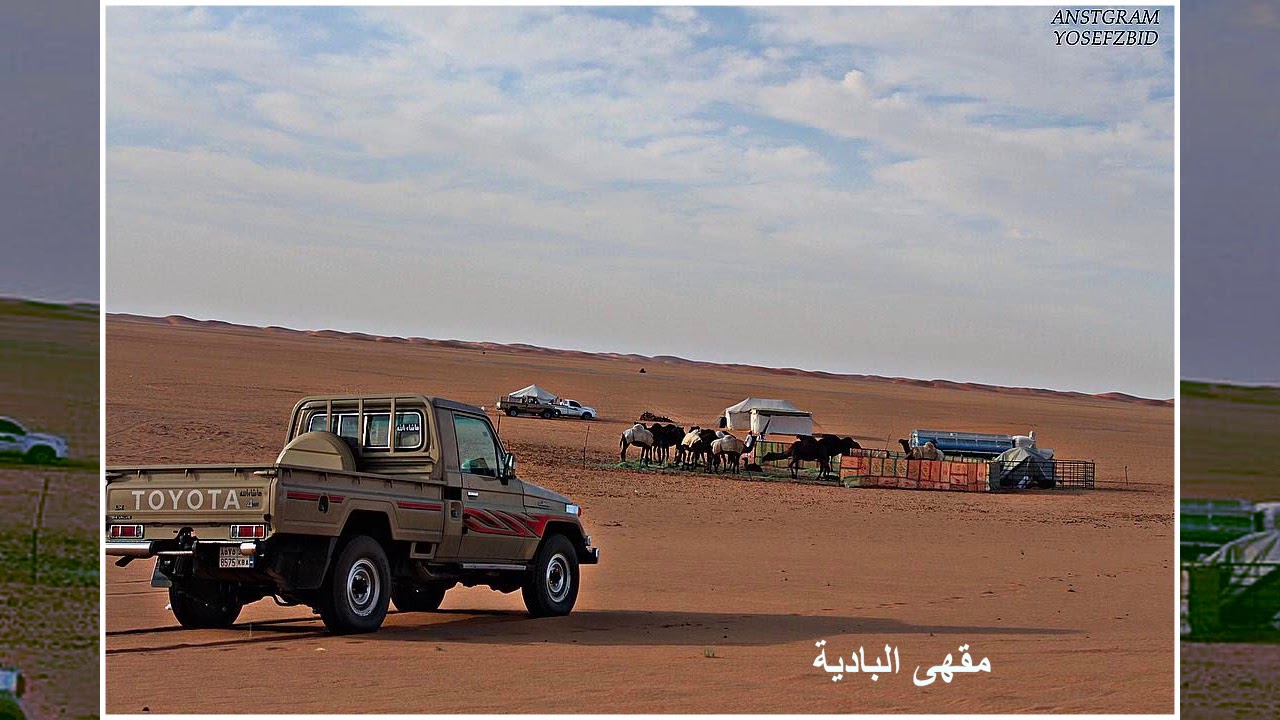 يا زين شفني كرهت الأرض والديرة - أبو عسكر|| كلمات: محمد علوي الفضلي (حصرياً)