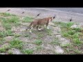 おたまこ40222😘小玉💞待ってました💖