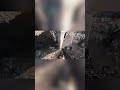 BF6 Moments  #battlefield6 #fyp #gaming