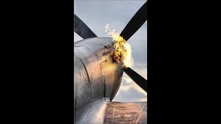 Supermarine Spitfire - Amazing Engine Startup