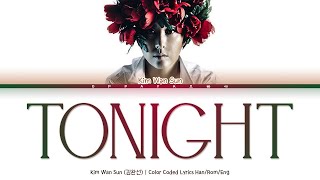 Kim Wan Sun (김완선) - Tonight [Color Coded Lyrics Han/Rom/Eng]