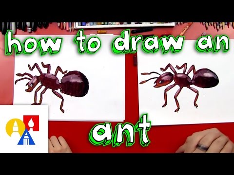 Video: How To Draw An Ant