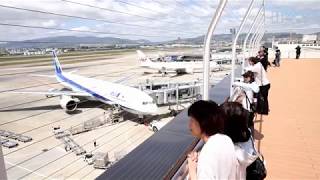 大阪国際空港（伊丹空港）の中央エリアがリニューアルオープン