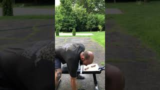Horrido Bending A2 Bolt Certification - Gil Goodman @Barrelstrengthsystems