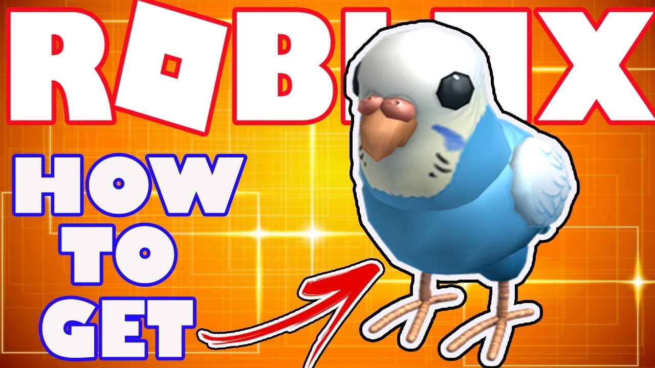 Bonus Item How To Get The Blue Budgie Buddy In Roblox Bonus Catalog Item For Robux Card Purchase Youtube - roblox noob head buddy