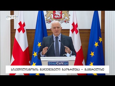 სიკვდილიანობის მაჩვენებელი გაიზრდება - გამყრელიძე