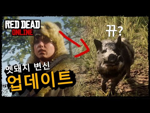 Capa de 생명론 연구 기록 : 동물변신 멧돼지 l 레데리2 온라인