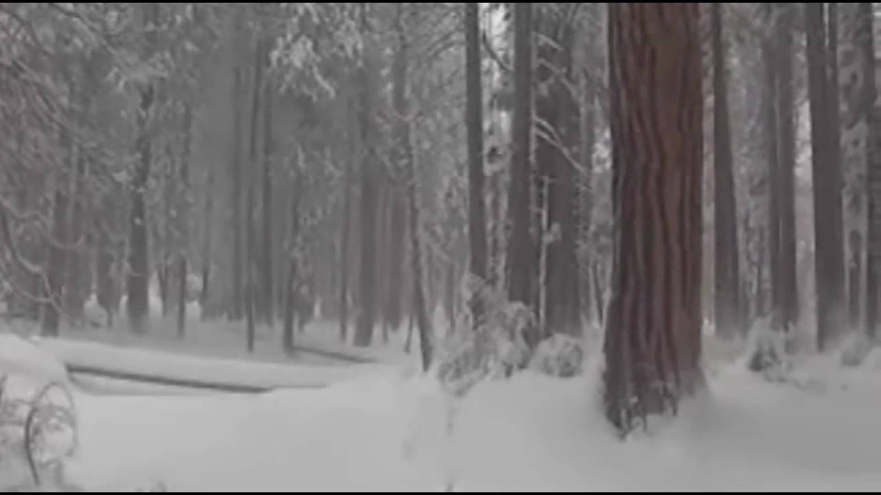 in Russian Bible Reading on Family Radio International