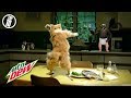 TOP 10 FUNNIEST MOUNTAIN DEW COMMERCIALS Ever Made (Best Mtn Dew Super Bowl Ads 2019)