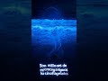 El mar se enciende como si tuviera estrellas dentro 🌊✨ #bioluminescence #marbrillante #naturaleza