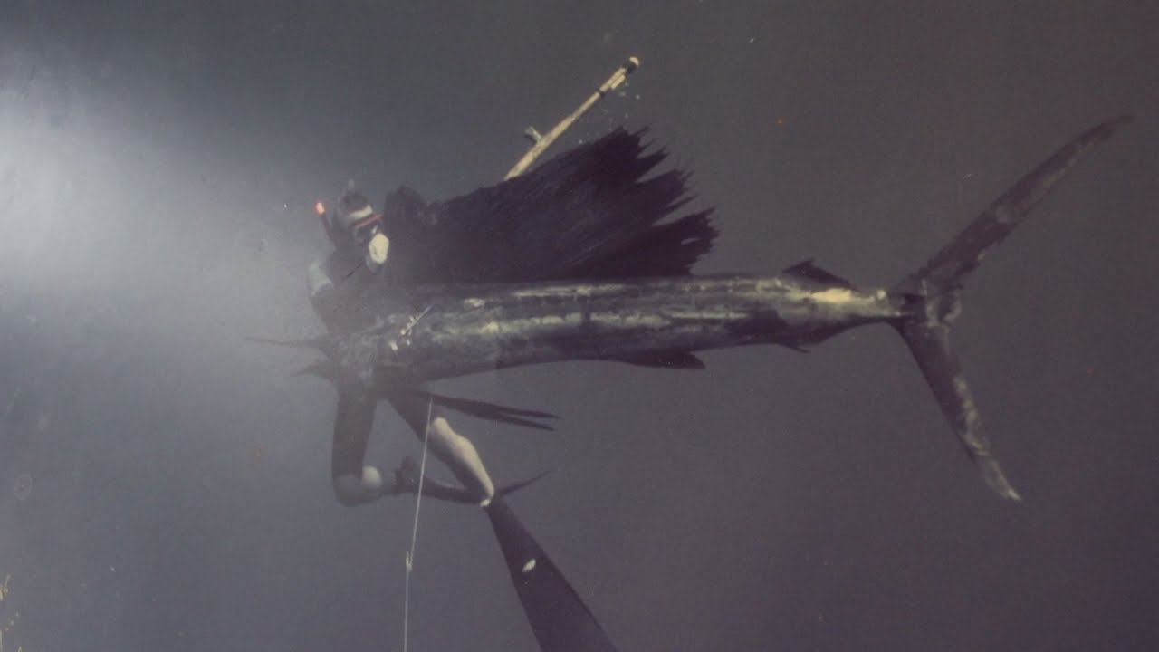 Bali The Blue Earth Village Apneista Freediving Center Organic Green Leaf Cafe Amed Youtube