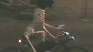 a Skeleton Riding a Bicycle a Skeleton Riding a Bicycle