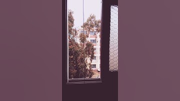 ما تيسر من سورة الأعراف