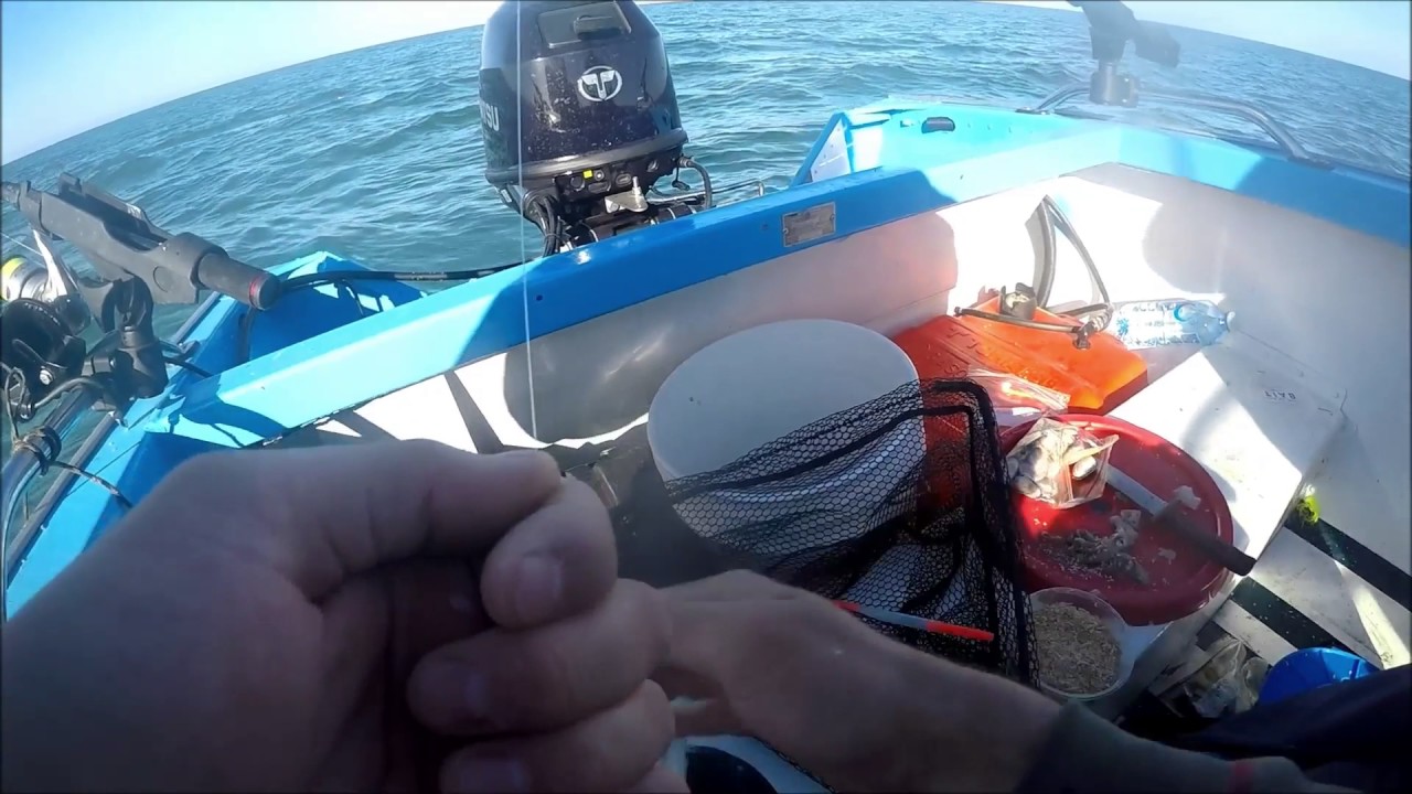 Fishing Outer Harbour December 2016