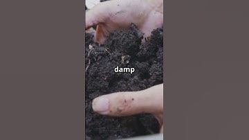 Why Composting Fails for Most!