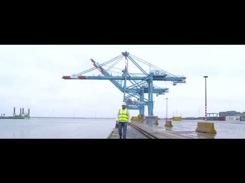 APM Terminals 