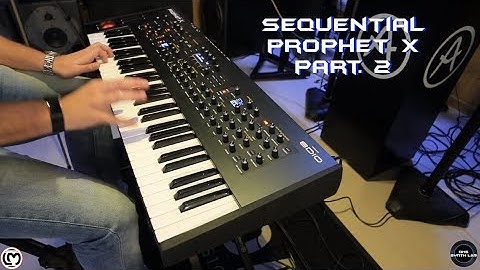 Sequential Prophet X Part. 2 | No Talking |