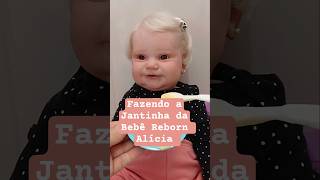Jantinha Da Bebê Reborn Alícia