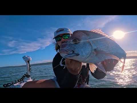 Large Shallow Water Snapper Moreton Bay Catch And Cook