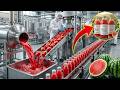 Proceso De Producción De Jugo De Sandía Prensado En Frío Que Te Dejará En Shock | fabricación