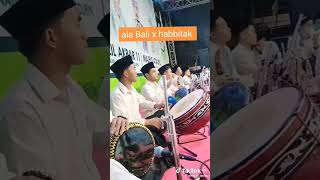 habbitak x ala Bali #hadroh #attaufiq #sholawat #trendingshorts
