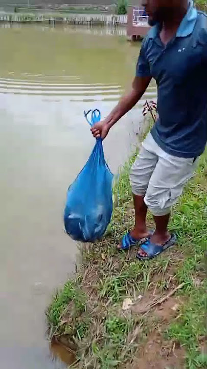 La Pyllait Dohkha Thymmai (Mei Duh) 7085630073 June 2025 #fishing #fish