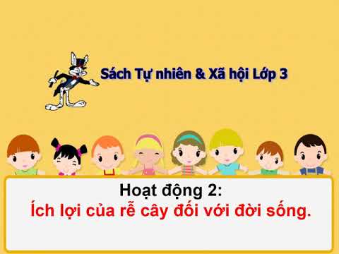 Môn Tự nhiên - Xã hội lớp 3 - Tuần 22, Bài 44: Rễ cây