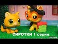 LPS: СИРОТКИ 1 серия