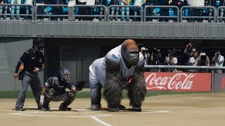 GORILLA ON THE FIELD? Unexpected Animal Interferences in Sports