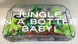 Jungle in a bottle baby! Come on in and check it out!