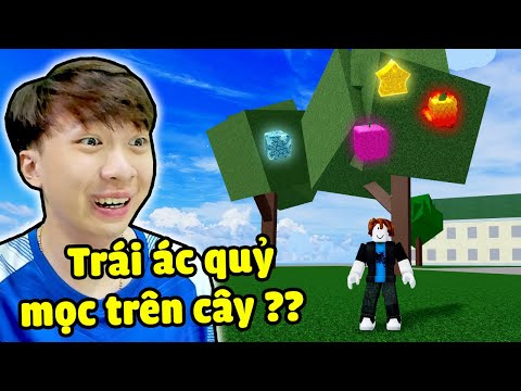 Trái Ác Quỷ