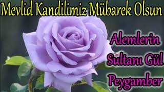 Mevlid Kandiline Özel İlahiler Karışık Güzel İlahiler 2021 - İlahi Dinleyeni Hayırlı Dinlemeler