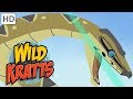 Wild Kratts - The Roughest, Toughest Animals in the Wild | Kids Videos