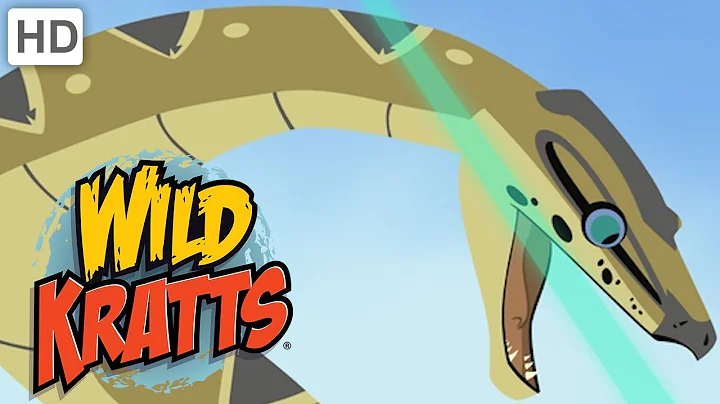 Wild Kratts - The Roughest, Toughest Animals in th...