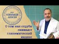 КАК СНИЗИТЬ ГЛИКЕМИЧЕСКИЙ ИНДЕКС ПРОДУКТОВ / АЛЕКСЕЙ КОВАЛЬКОВ ОБ ОТРУБЯХ