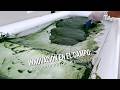 Innovación en el Campo: La revolución de la Espirulina- TvAgro por Juan Gonzalo Angel