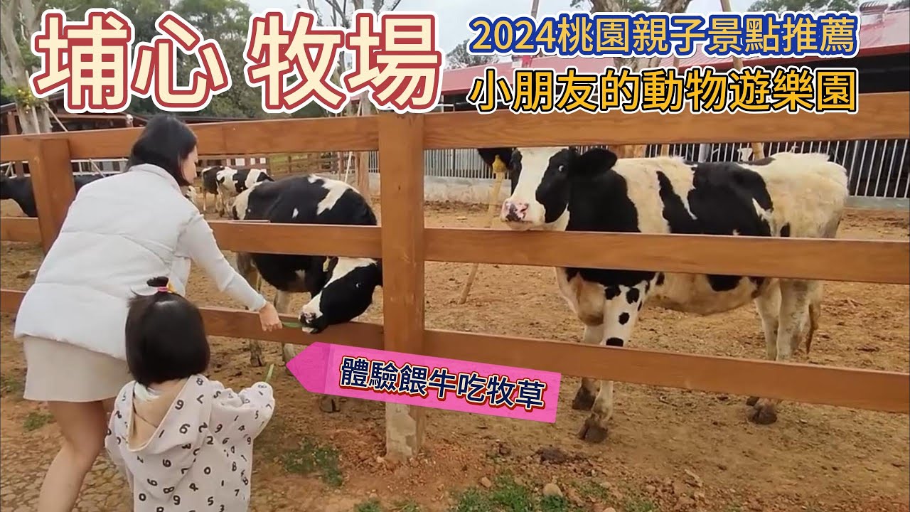 2024桃園親子景點 |埔心牧場|園區有感翻新|小朋友的動物遊樂園|體驗餵乳牛吃牧草|Super  Mouse