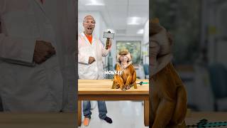 Monkeys