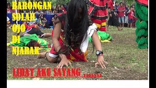 TURONGGO WILIS SAPUTRO,JANGAN remehkan cewe satu ini, ndadi iso medeni