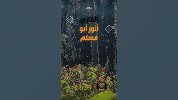 #القرآن_الكريم #تلاوة_خاشعة #القارئ_أنور_أبو_مسلم