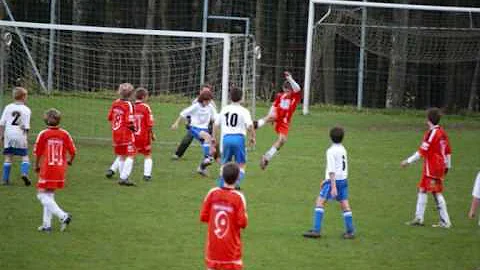 absengerkovi