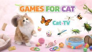 CAT GAMES 🐾 3D Cat TV The Secret Run – Chicken Run • Cricket Hunt • Bee Buzz! 😺 | 6 Hours 4K60FPS screenshot 3