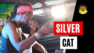 Silver Cat in Rub-A-Dub Style