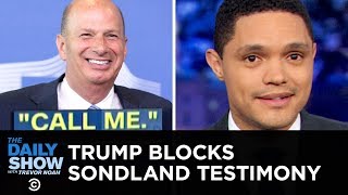 Trump Stops Sondland’s Testimony & Dems Protect the Whistleblower | The Daily Show