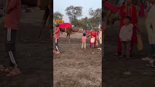 Ocean Sun set view #sunset #sunday #sunsets #viralvideo