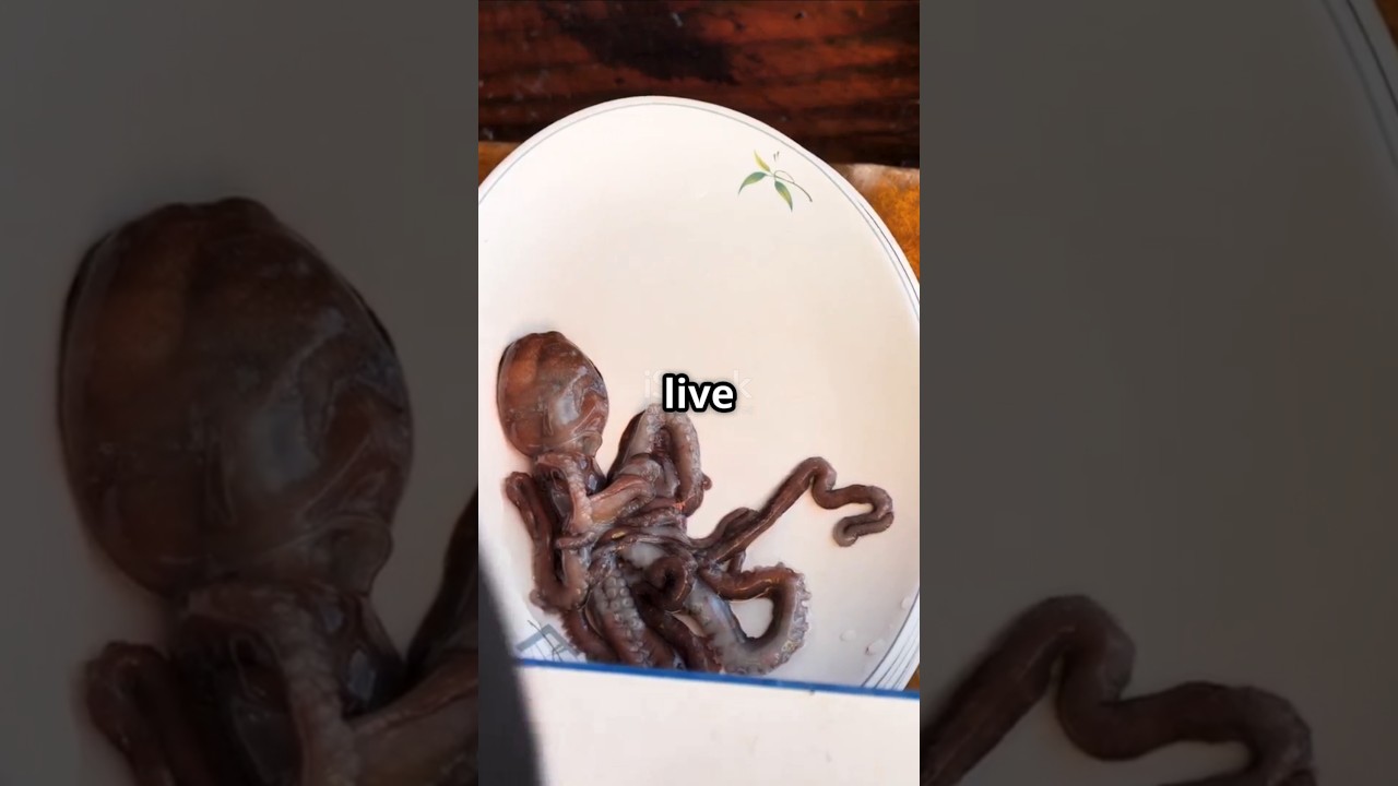 Top 5 Weirdest Foods in the World 🤯 | You Won’t Believe #3! 