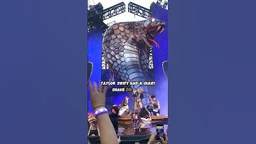Fans Discover the Truth Behind Taylor Swift’s Reputation Tour Snake! #taylorswift #shorts