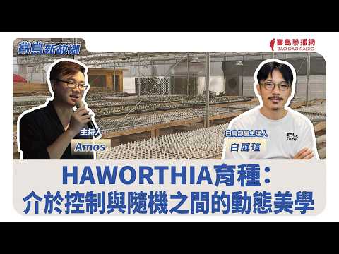 【寶島新故鄉】HAWORTHIA育種：介於控制與隨機之間的動態美學！ │Amos ft. 白庭瑄執行長 白鳥部屋主理人