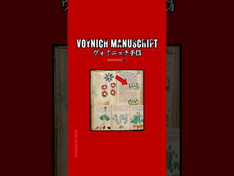 VOYNICH MANUSCRIPT |
